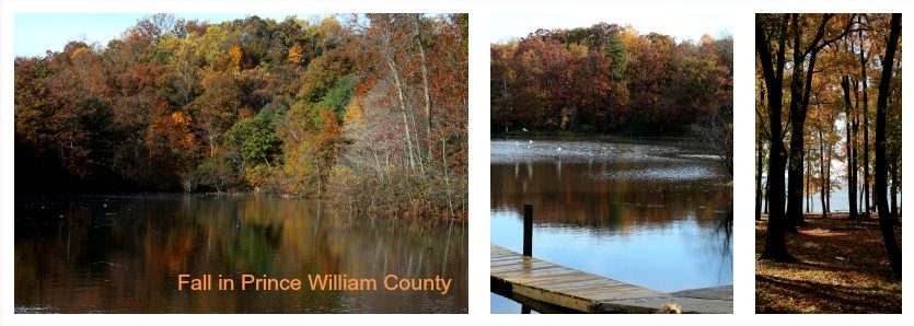 Prince William County autumn