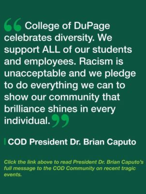 college of dupage diversity